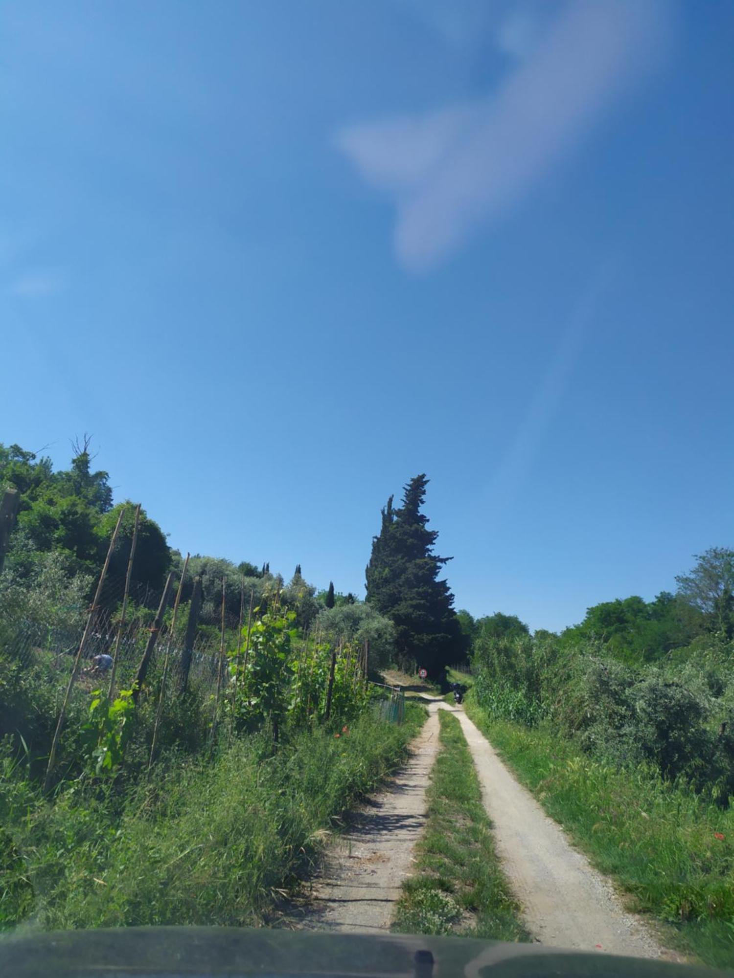 דירות Serravalle Pistoiese Casa Tre Pini מראה חיצוני תמונה